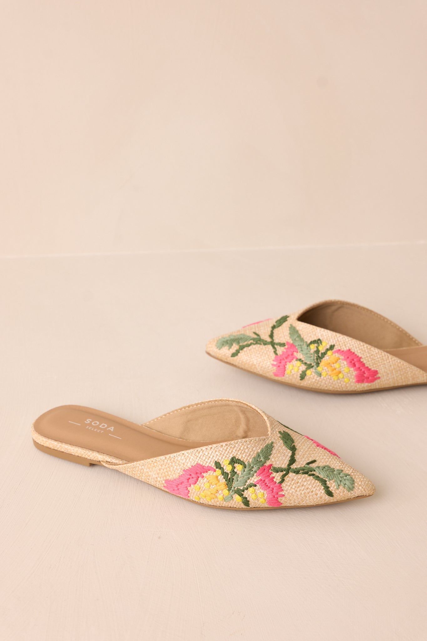 Wildflower Wander Natural Raffia Pointed Toe Flat