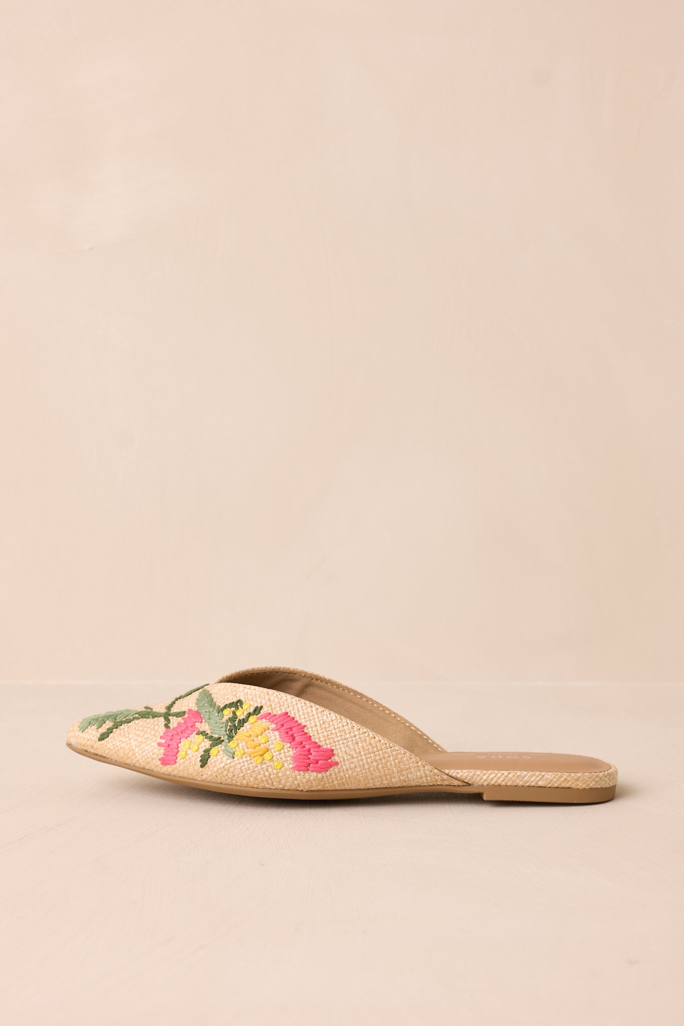 Wildflower Wander Natural Raffia Pointed Toe Flat