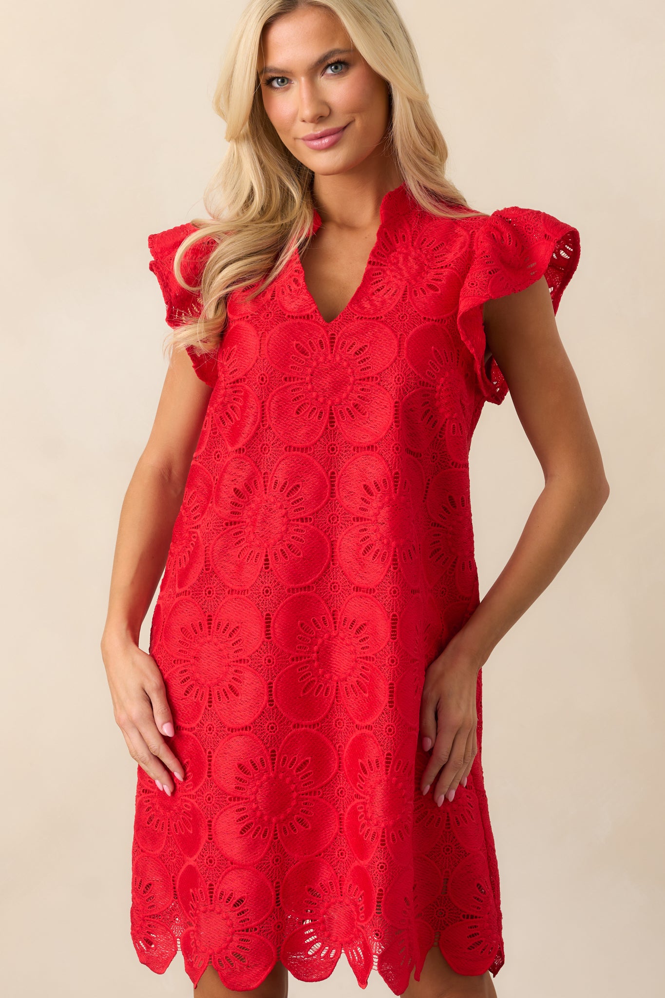 Between The Vines Red Floral Embroidered Mini Dress