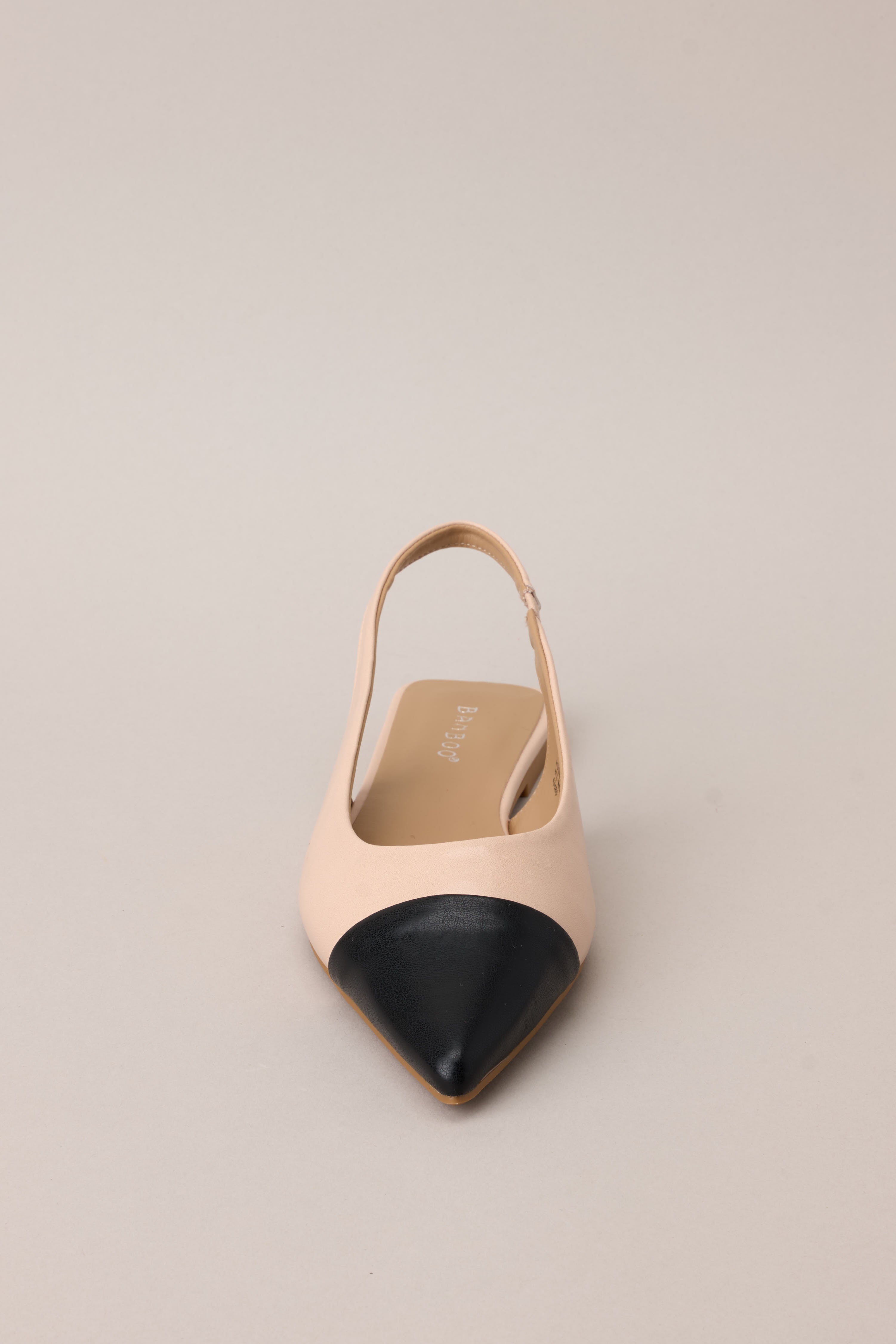 Front view of these flats that feature a pointed toe, a color block design, and non adjustable strap.