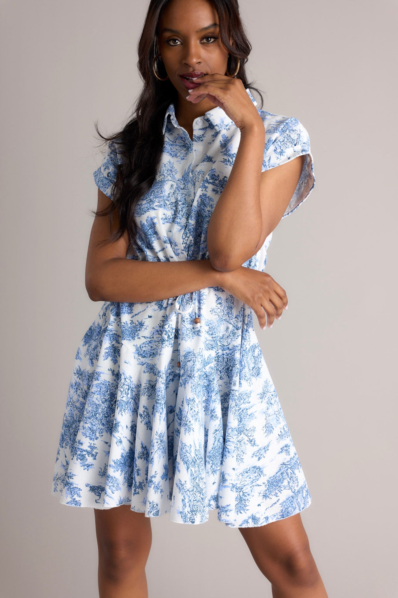 Blue & White Toile Mini Dress - All Dresses | Red Dress