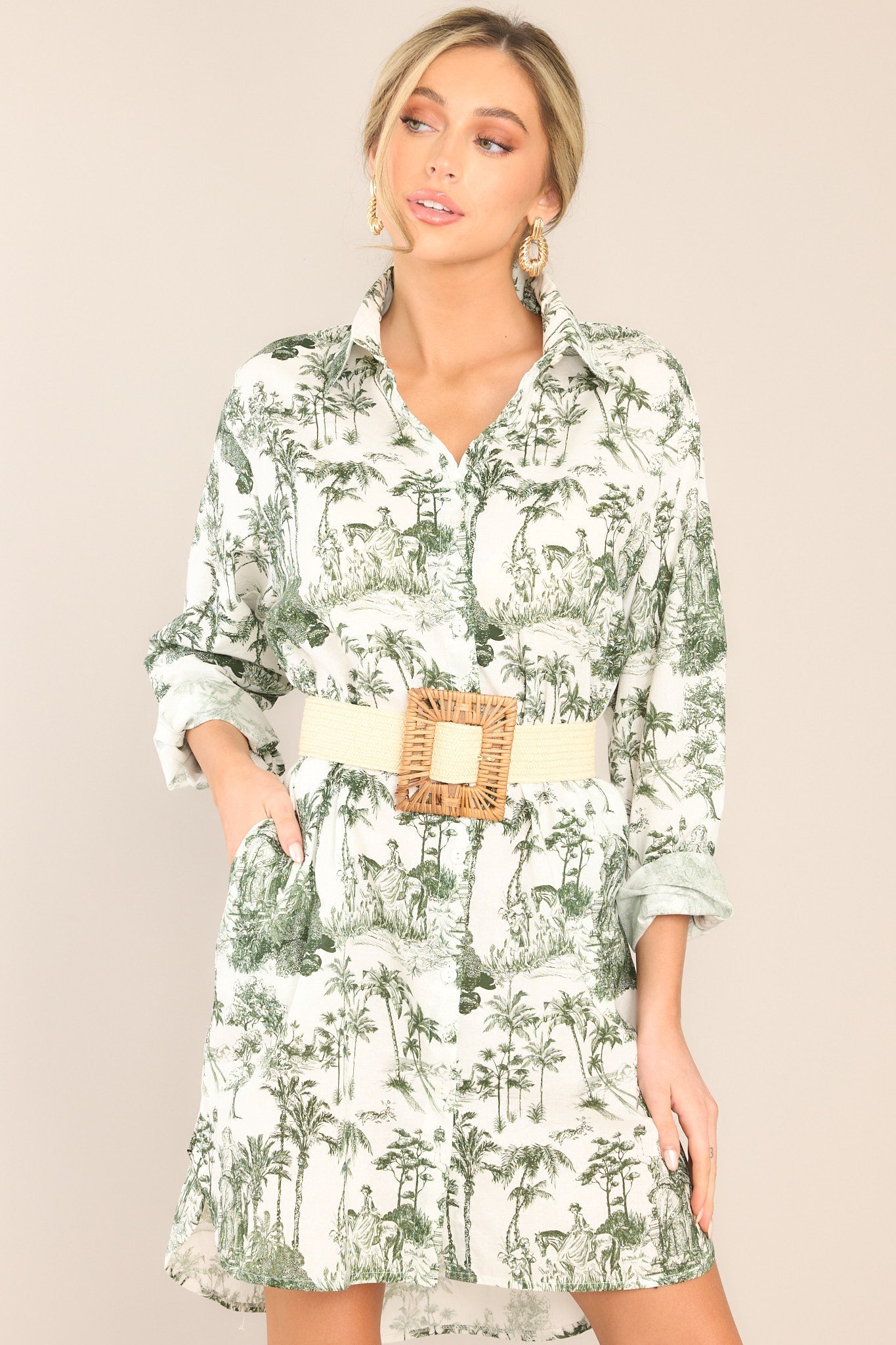 Little Pleasures Green Toile Button Front Mini Shirt Dress - Red Dress